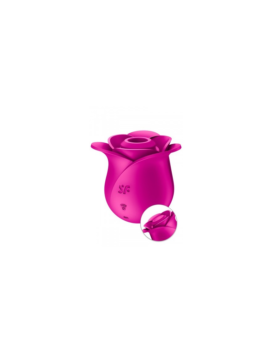 Stimulateur clitoridien Satisfyer Pro 2 Modern Blossom