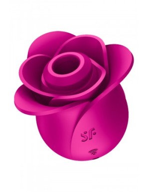 Stimulateur clitoridien Satisfyer Pro 2 Modern Blossom