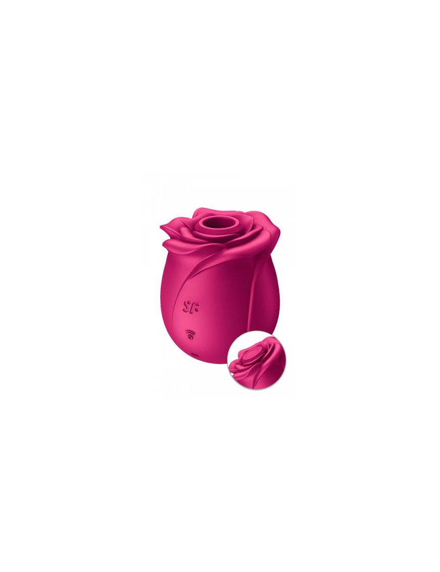 Stimulateur clitoridien Satisfyer Pro 2 Classic Blossom