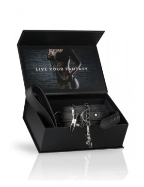 Collier cuir avec chaînes de seins - Easytoys Fetish Collection